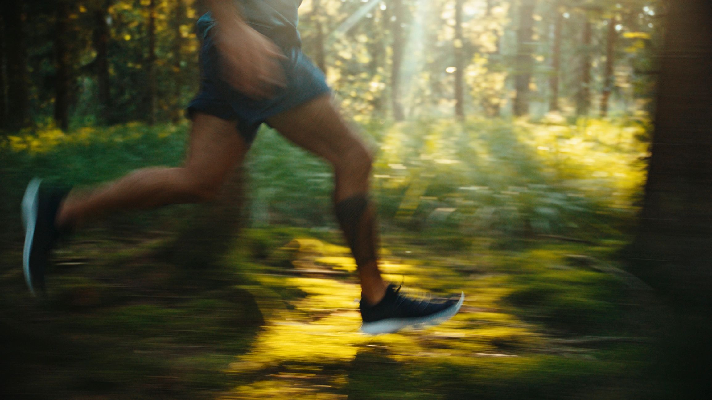 Trail runner in a sunlit forest
